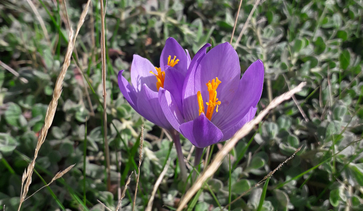 Grandes Caminhadas no Vale do Bestança – Inscrições até ao dia 22 de março!