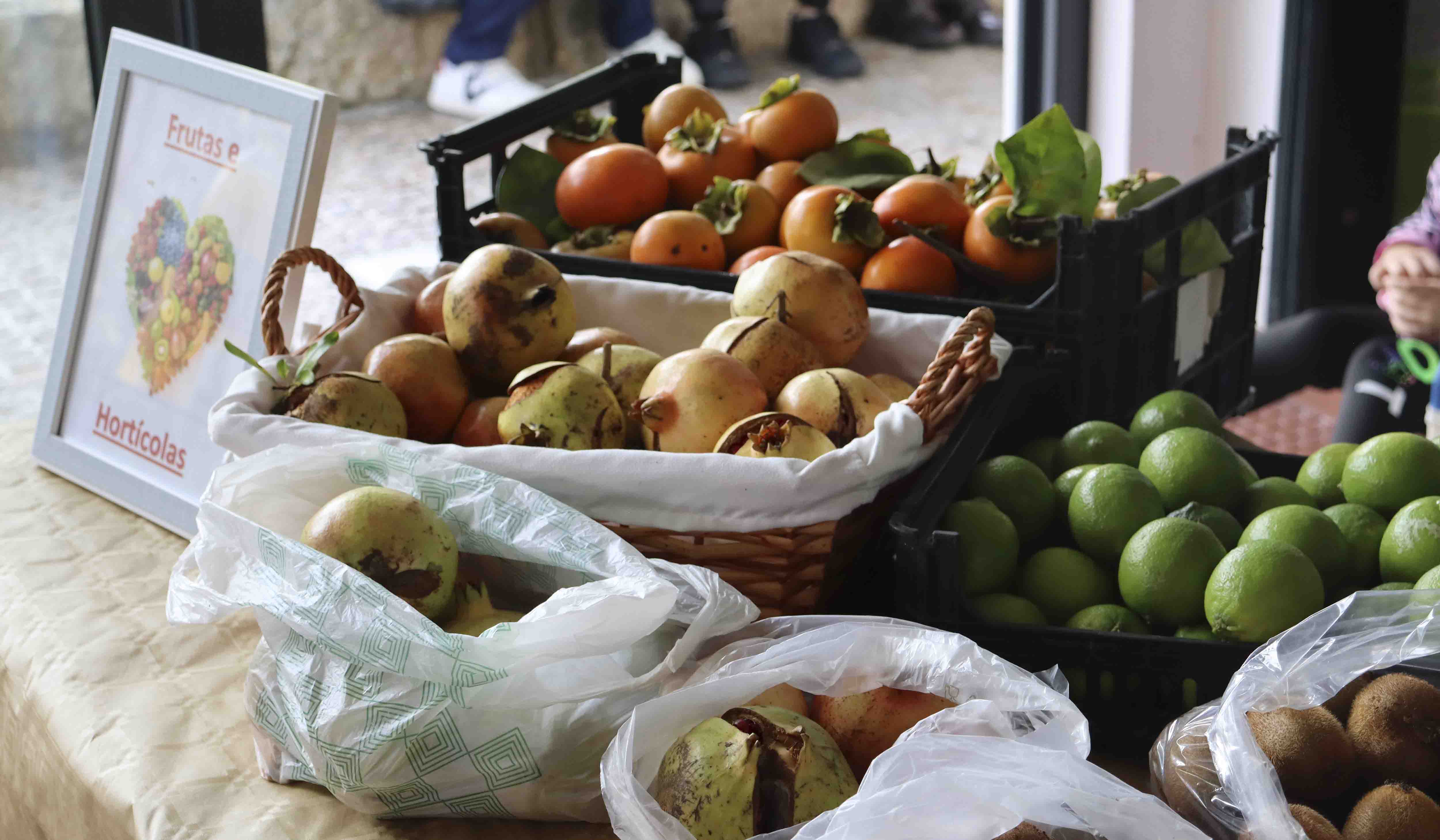 Escolas celebram o Outono!