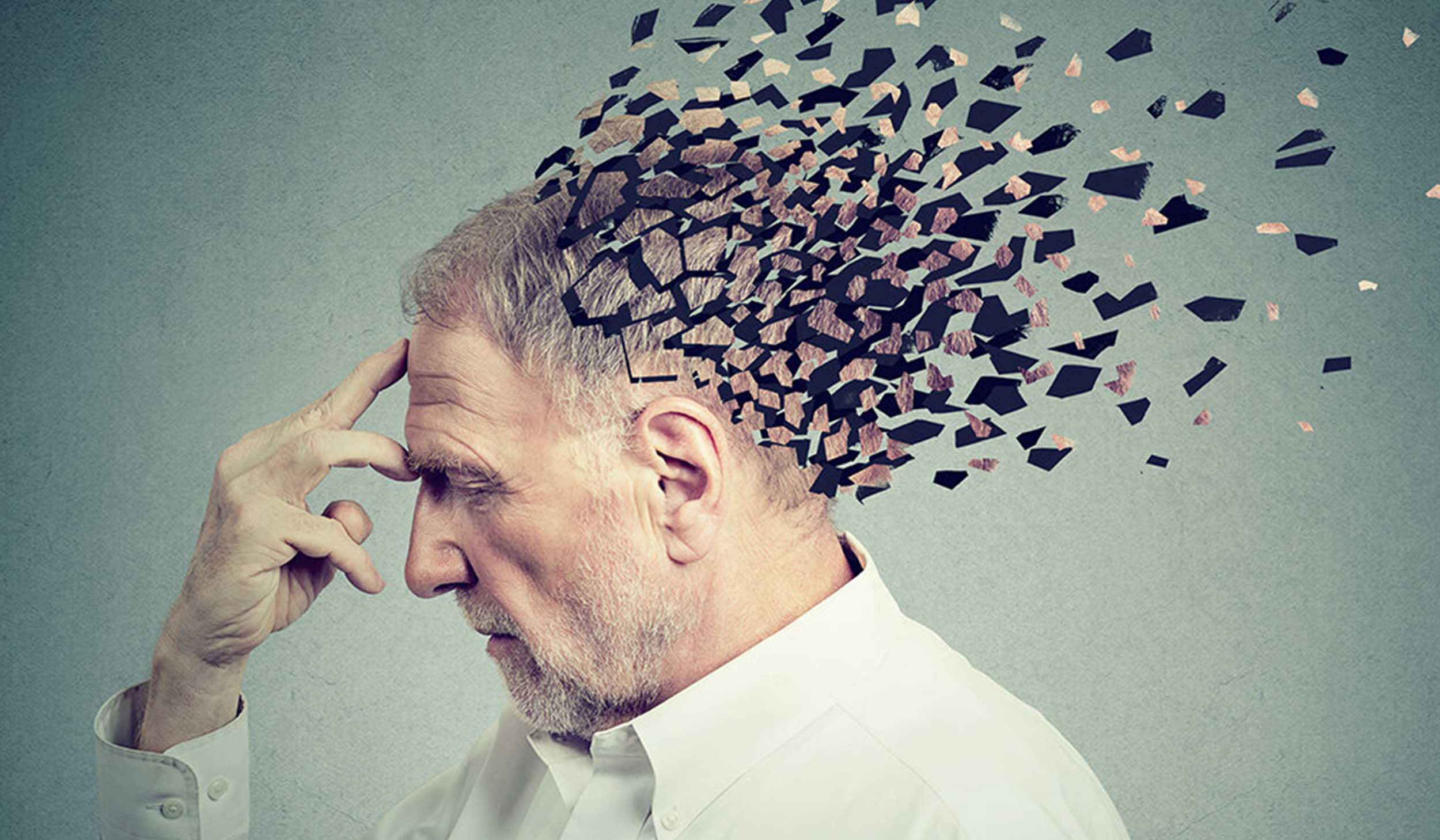 Município Renova Apoio ao Projeto REVIVER com Investimento superior a 45 mil euros