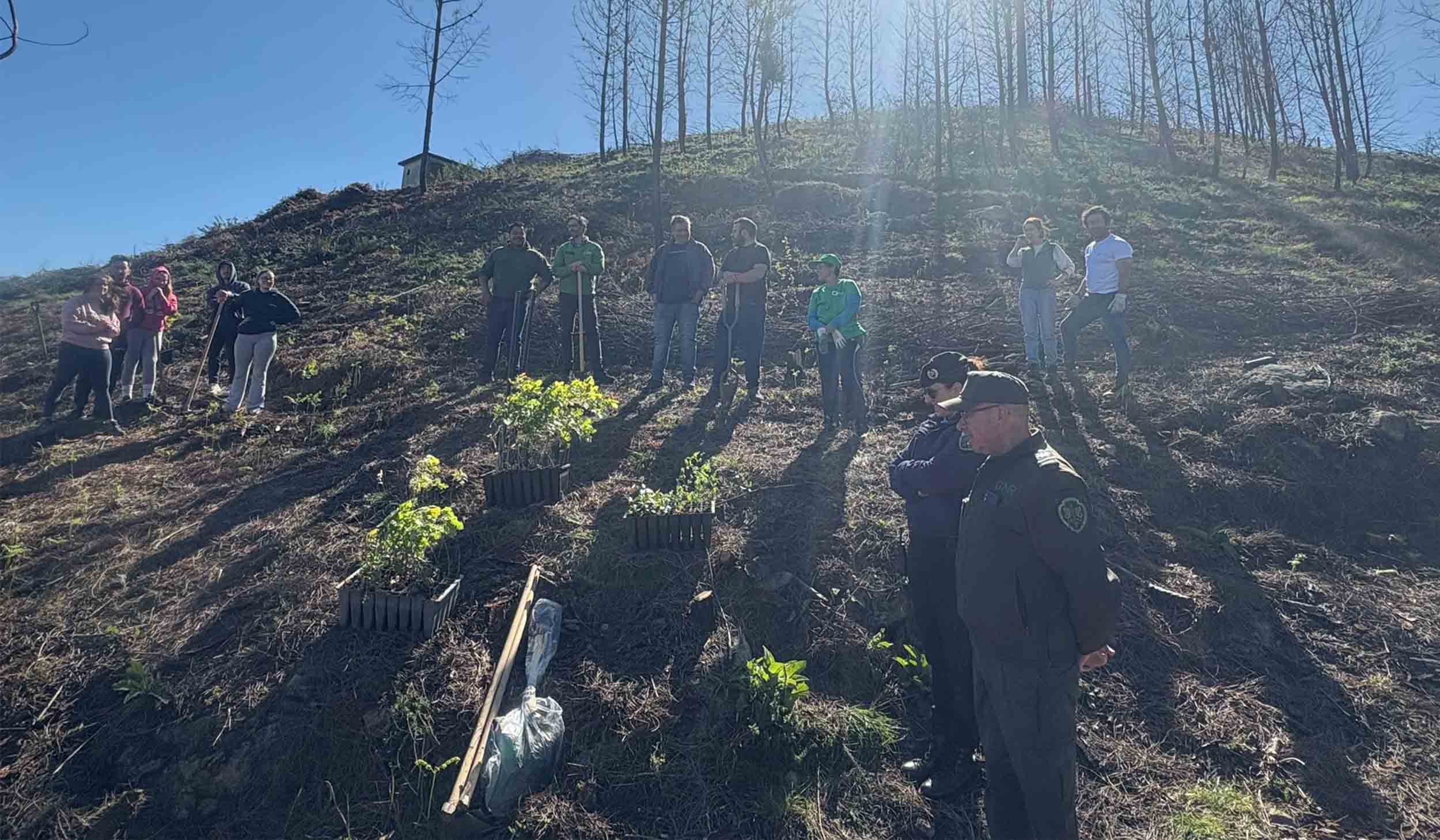 Reflorestação nos Baldios de Oliveira do Douro