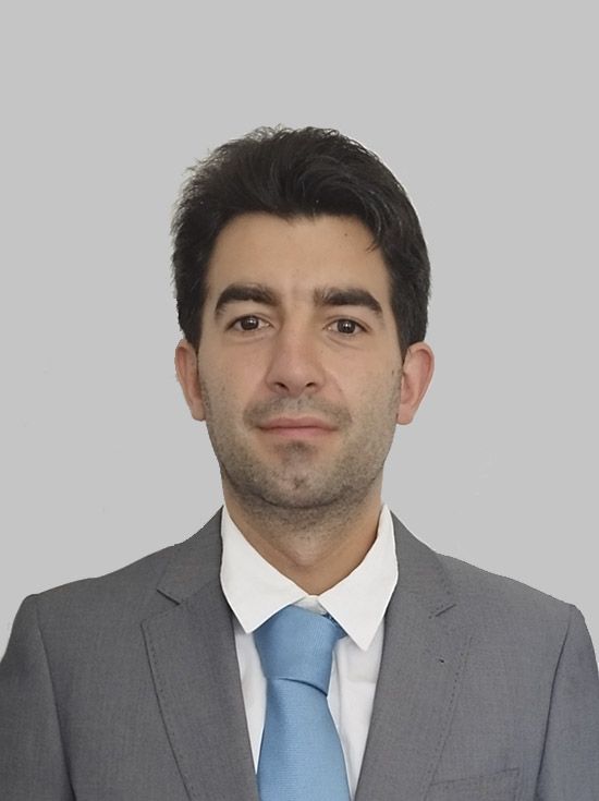 Francisco de Araújo Rebelo