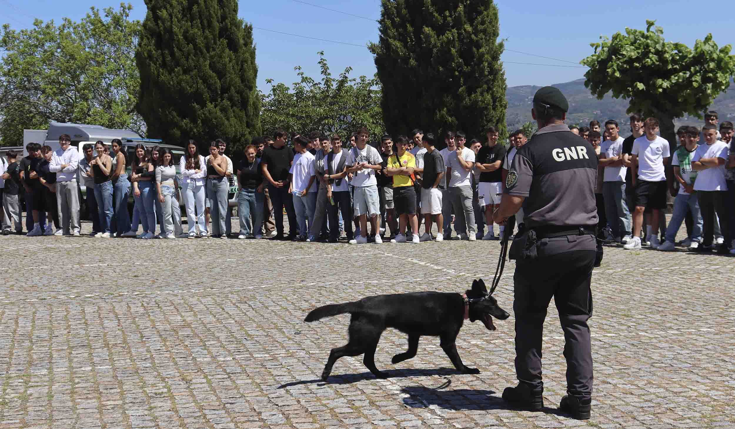 Cinfães Protege: Um Dia pela Segurança de Todos!
