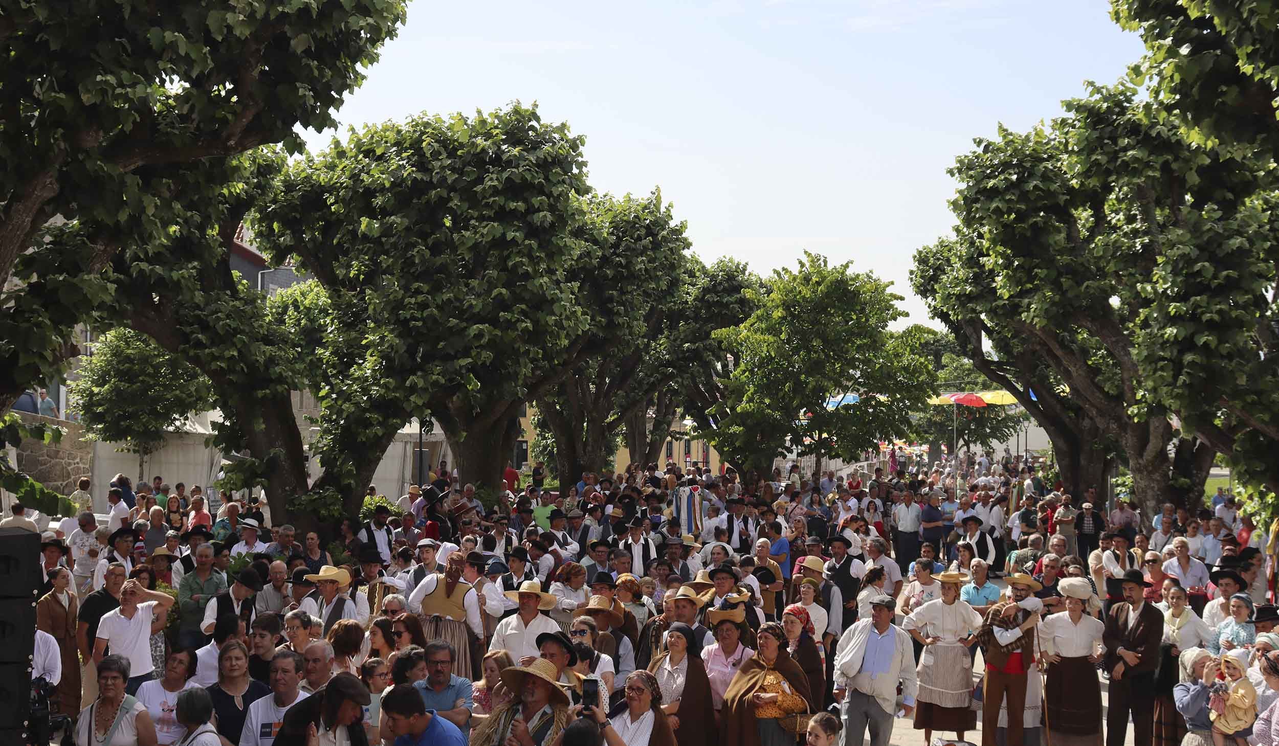 Cinfães em Festa com o Desfile Etnográfico!
